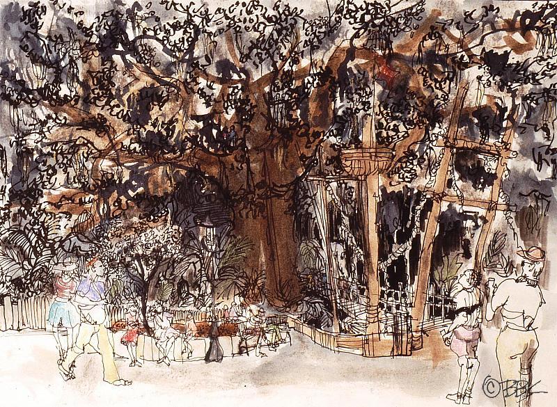 Swiss Family Robinson Treehouse, Disney World, Florida